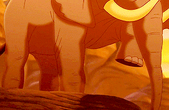 Olifant GIF. Dieren Olifant Gifs 