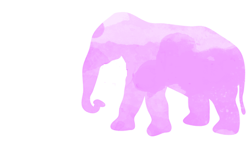 Dieren Olifant Gifs 