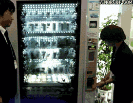 Olifant GIF. Dieren Olifant Gifs 
