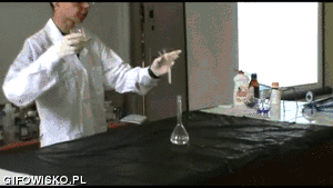 Olifant GIF. Dieren Olifant Gifs Tandpasta 
