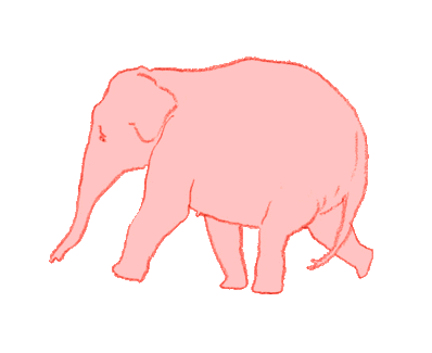 Dieren Olifant Regenboog Gifs 