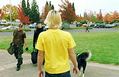 Olifant GIF. Dieren Olifant Gifs 