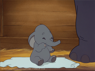 Dieren Olifant Gifs 