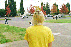 Olifant GIF. Dieren Olifant Gifs 