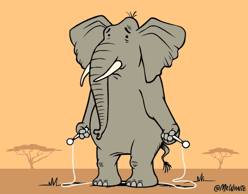 Dieren Olifant Gifs 