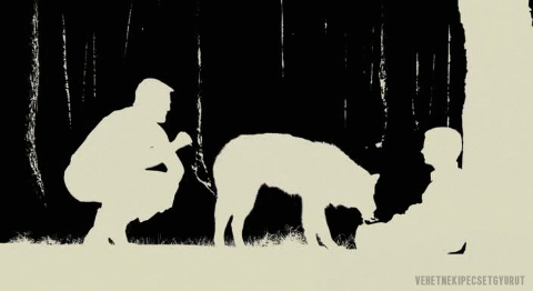 Elijah Wood GIF. Elijah wood Wolf Gifs Filmsterren Sin city Marv 