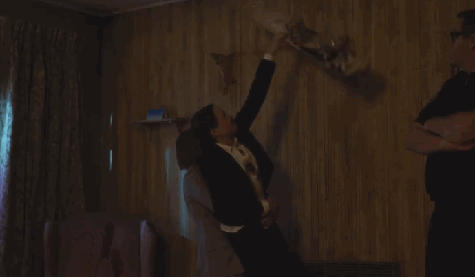 Gifs Filmsterren Ellen page Stephen Colbert The Colbert Report 