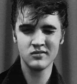 Elvis Presley GIF. Muziek Artiesten Gifs Elvis presley 