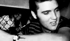 Elvis Presley GIF. Beroemdheden Artiesten Gifs Elvis presley 