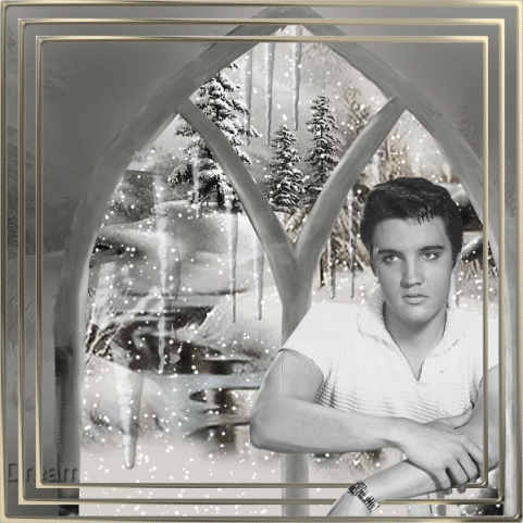 Beroemdheden Artiesten Gifs Elvis presley 