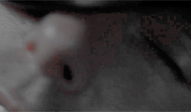 Tom Cruise GIF. Gifs Filmsterren Tom cruise Emily blunt Edge of tomorrow Doug liman 2015 films 