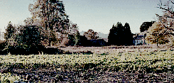 Tom Cruise GIF. Gifs Filmsterren Tom cruise Mijn bericht Emily blunt Edge of tomorrow 