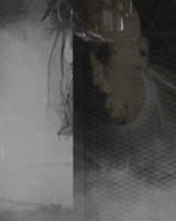 Eminem GIF. Muziek Artiesten Eminem Gifs Citaten Slim shady 