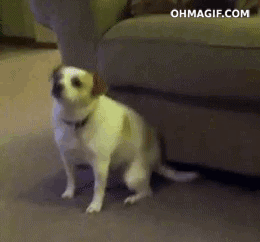 Eminem GIF. Artiesten Eminem Gifs 