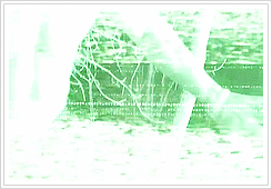 Eminem GIF. Artiesten Eminem Gifs Rap god Mmlp2 