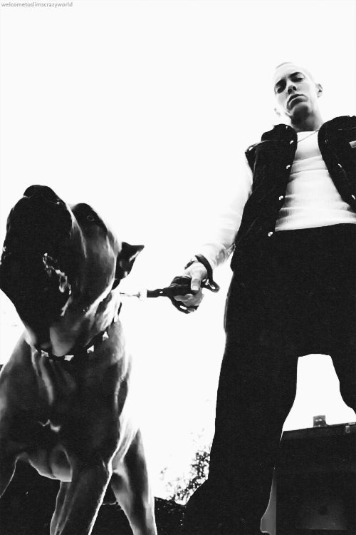 Artiesten Eminem Gifs slim shady marshall Bkonijn king mathers 