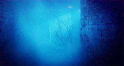 Emma Stone GIF. Gifs Filmsterren Emma stone The help 