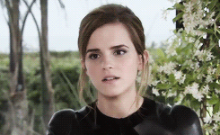 Emma Watson GIF. Emma watson Gifs Filmsterren De ring bling 