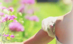 Emma Watson GIF. Emma watson Gifs Filmsterren 