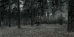 Emma Watson GIF. Emma watson Gifs Filmsterren Lachend 