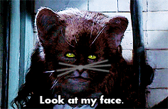 Emma Watson GIF. Emma watson Gifs Filmsterren 