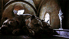 Emma Watson GIF. Emma watson Gifs Filmsterren 