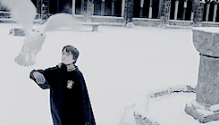 Emma Watson GIF. Emma watson Gifs Filmsterren Zo schattig 