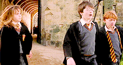 Emma Watson GIF. Emma watson Gifs Filmsterren The perks of being a wallflower 