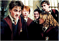 Emma Watson GIF. Emma Emma watson Gifs Filmsterren Emmawatsonfan 