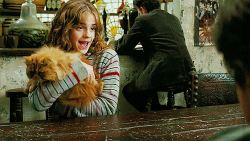 Emma Watson GIF. Emma watson Gifs Filmsterren 