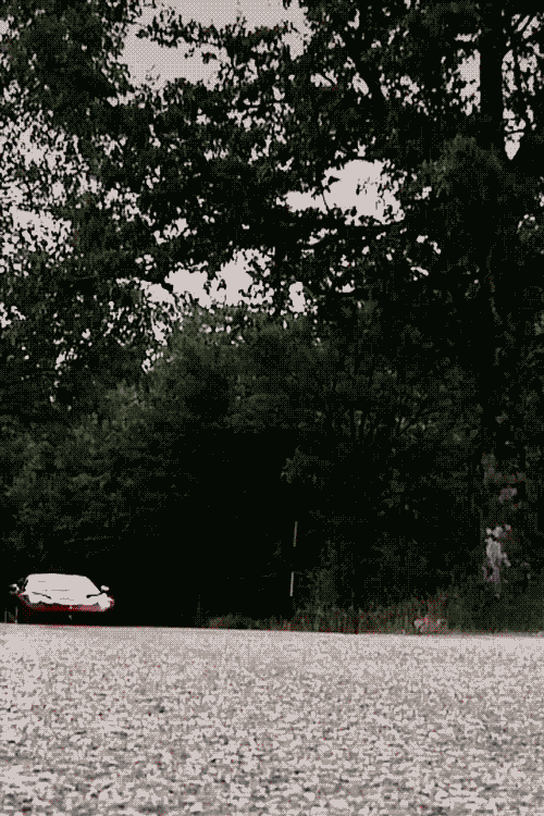 Voertuigen Ferrari Gifs f1 fernando alonso karting 