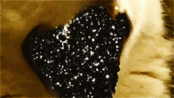 Vuurwerk GIF. Muziek Vuurwerk Kerstmis Gifs Oudejaarsavond 