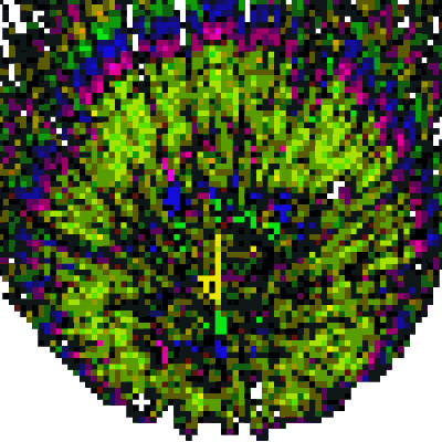 Vuurwerk Beroemdheden Gifs vrij wetenschap awsome 