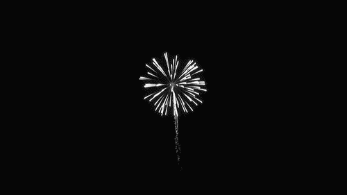 Vuurwerk Gifs Starglow lineaire burn 