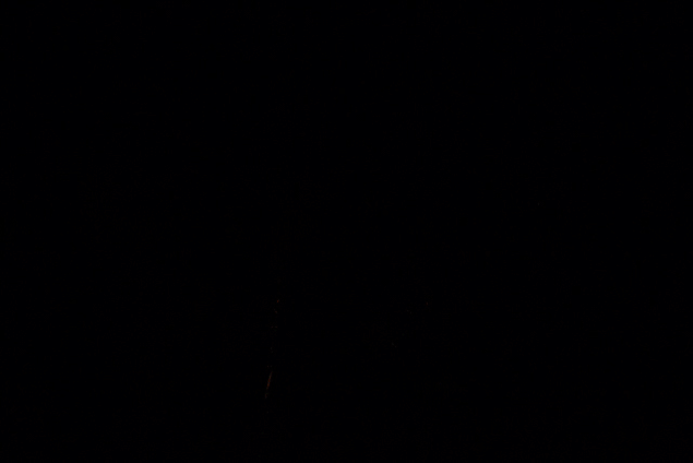 Muziek Vuurwerk Kerstmis Gifs oudejaarsavond 