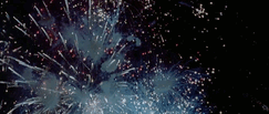 Vuurwerk GIF. Vuurwerk Natuur Gifs 