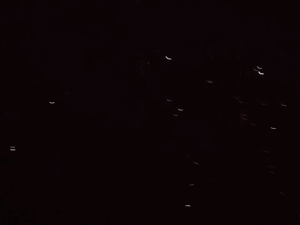 Vuurwerk GIF. Vuurwerk Baby Gifs 