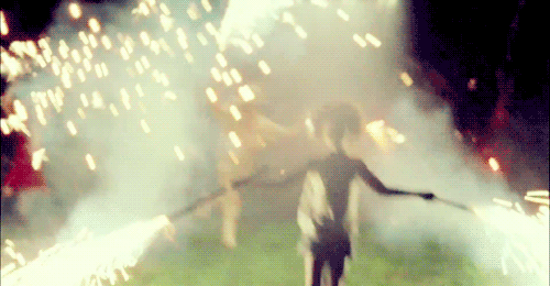 Vuurwerk Gifs teckel slechte hond romeinse kaars wienerdog 