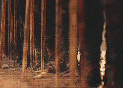 Game Of Thrones GIF. Games Game of thrones Brand Tv Gifs Hbo Draak Dracarys Khaleesi 