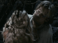 Game Of Thrones GIF. Games Game of thrones Gifs Sarcastisch Sarcasme Joffrey baratheon Game of thrones gif 