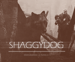 Game Of Thrones GIF. Games Game of thrones Tv Gifs Parken en recreatie Rashida jones Retta 