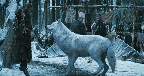 Games Game of thrones Gifs het eens zijn Bekend 