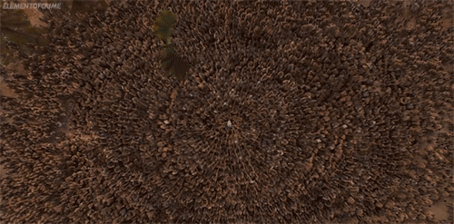 Games Game of thrones Tv Gifs Varys lord baelish 