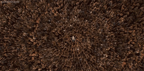 Televisie Games Game of thrones Gifs Daenerys Targaryen Emilia Clarke 