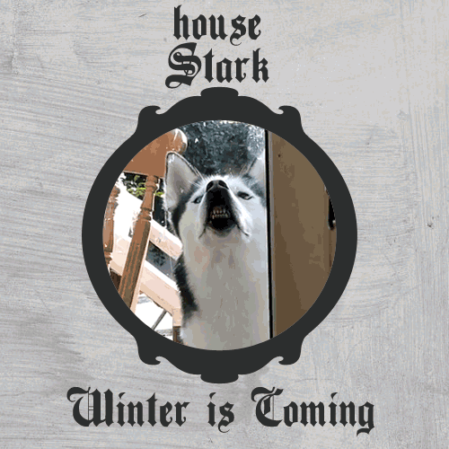 Bioscoop Games Game of thrones Gifs 4 Arya Stark Maise williams hield haar in deze ep en iedere 