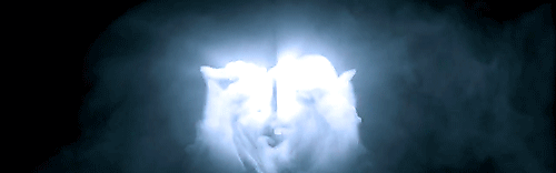 Televisie Wijn Games Drank Game of thrones Alcohol Gifs komst game thrones 