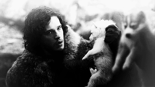 Games Game of thrones Gifs Warg 