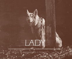 Game Of Thrones GIF. Games Game of thrones Tv Gifs Lena headey Cersei lannister 