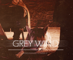 Game Of Thrones GIF. Televisie Games Game of thrones Tv Gifs 4 Natalie dormer Lena headey Cersei lannister Margaery 