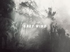 Game Of Thrones GIF. Games Game of thrones Tv Gifs Boog Kit harington Rose leslie Pijl Ygritte Dreigend 